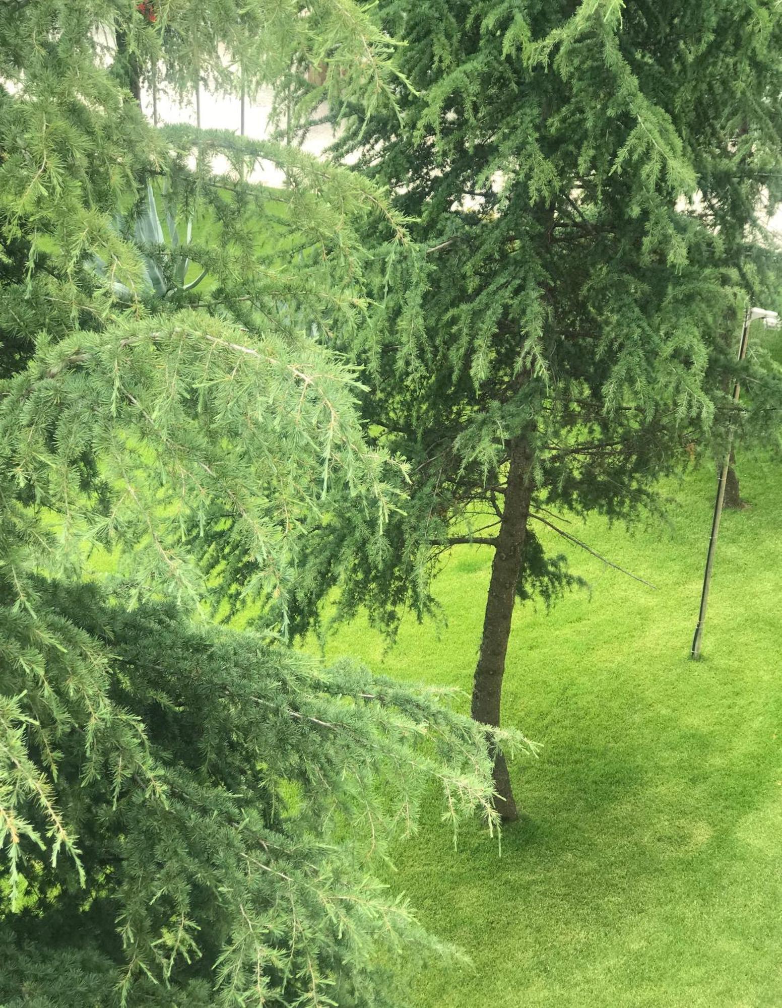 Chateau Linza Resort Tirana Eksteriør billede