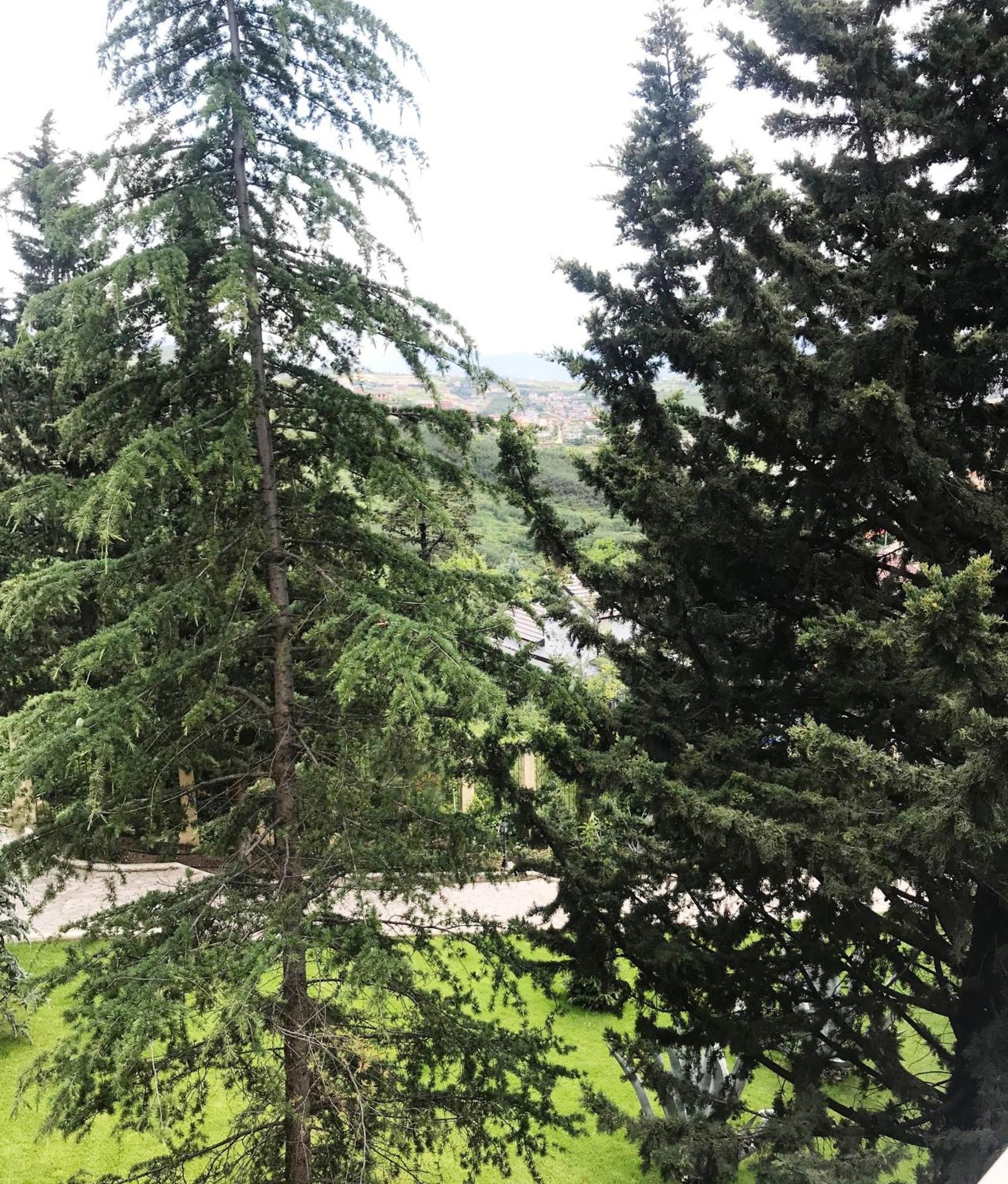 Chateau Linza Resort Tirana Eksteriør billede